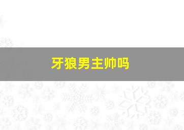 牙狼男主帅吗