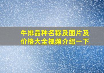 牛排品种名称及图片及价格大全视频介绍一下