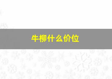 牛柳什么价位