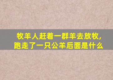 牧羊人赶着一群羊去放牧,跑走了一只公羊后面是什么