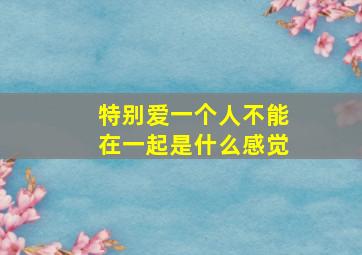 特别爱一个人不能在一起是什么感觉