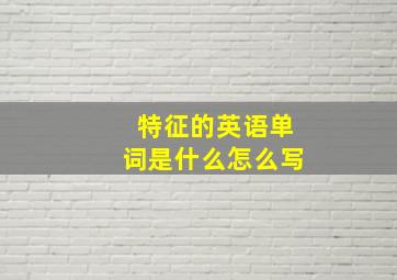 特征的英语单词是什么怎么写