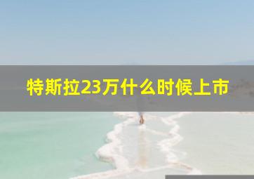 特斯拉23万什么时候上市