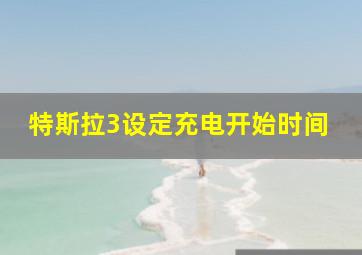 特斯拉3设定充电开始时间