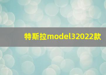 特斯拉model32022款