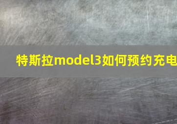 特斯拉model3如何预约充电