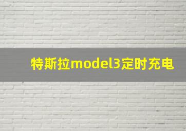 特斯拉model3定时充电