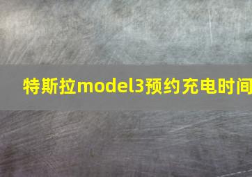 特斯拉model3预约充电时间