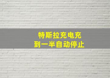 特斯拉充电充到一半自动停止