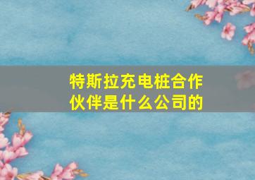 特斯拉充电桩合作伙伴是什么公司的