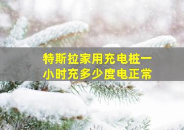 特斯拉家用充电桩一小时充多少度电正常