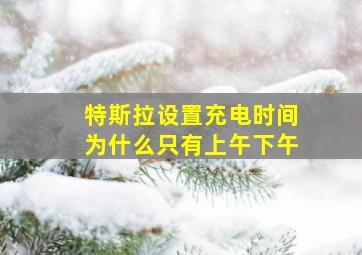 特斯拉设置充电时间为什么只有上午下午