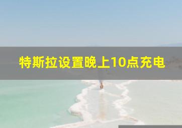 特斯拉设置晚上10点充电