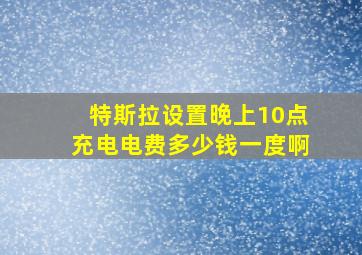 特斯拉设置晚上10点充电电费多少钱一度啊