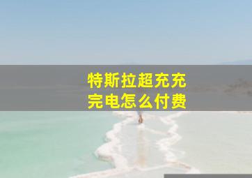 特斯拉超充充完电怎么付费