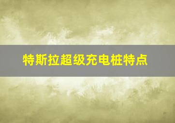 特斯拉超级充电桩特点