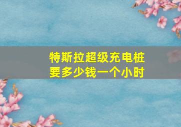 特斯拉超级充电桩要多少钱一个小时