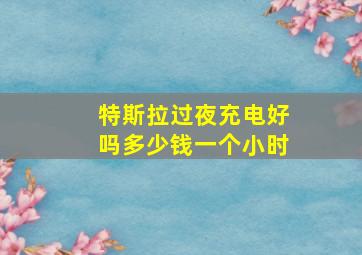 特斯拉过夜充电好吗多少钱一个小时