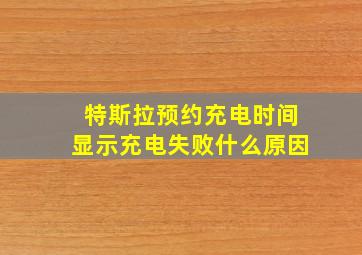 特斯拉预约充电时间显示充电失败什么原因