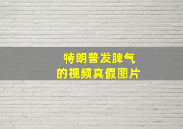 特朗普发脾气的视频真假图片