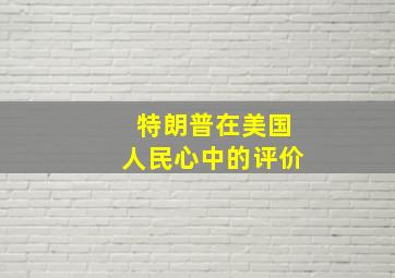 特朗普在美国人民心中的评价