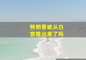 特朗普被从白宫推出来了吗