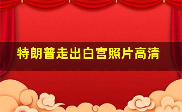 特朗普走出白宫照片高清