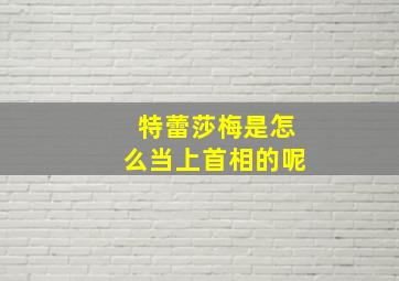 特蕾莎梅是怎么当上首相的呢