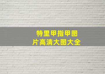 特里甲指甲图片高清大图大全