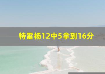 特雷杨12中5拿到16分