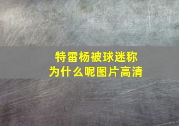 特雷杨被球迷称为什么呢图片高清