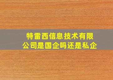 特雷西信息技术有限公司是国企吗还是私企