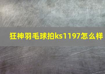 狂神羽毛球拍ks1197怎么样