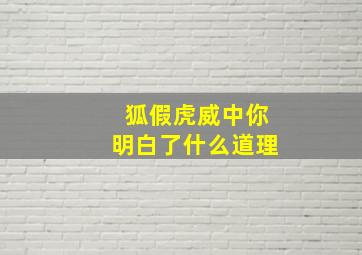 狐假虎威中你明白了什么道理