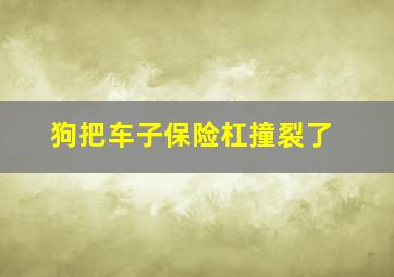 狗把车子保险杠撞裂了