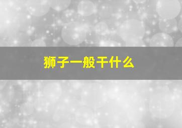 狮子一般干什么