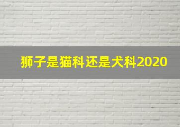 狮子是猫科还是犬科2020