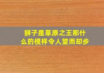 狮子是草原之王那什么的模样令人望而却步