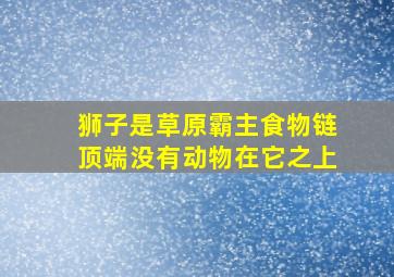 狮子是草原霸主食物链顶端没有动物在它之上