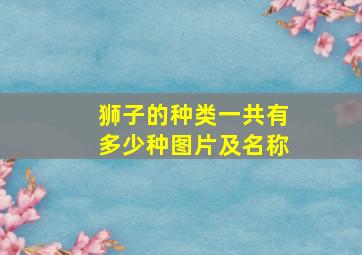 狮子的种类一共有多少种图片及名称