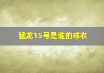 猛龙15号是谁的球衣