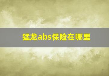 猛龙abs保险在哪里