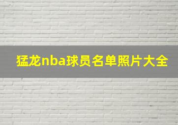 猛龙nba球员名单照片大全