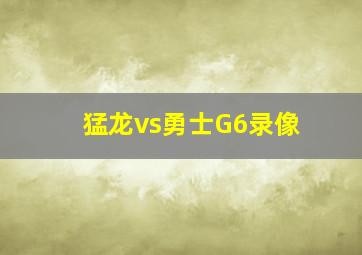 猛龙vs勇士G6录像