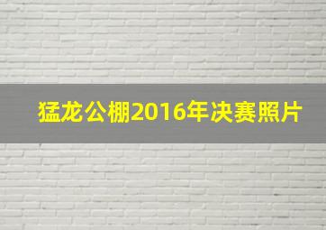 猛龙公棚2016年决赛照片