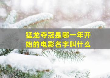 猛龙夺冠是哪一年开始的电影名字叫什么