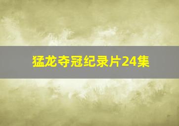 猛龙夺冠纪录片24集