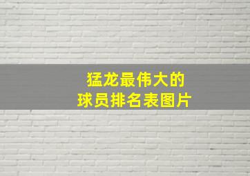 猛龙最伟大的球员排名表图片