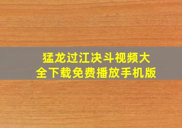 猛龙过江决斗视频大全下载免费播放手机版