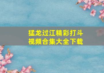 猛龙过江精彩打斗视频合集大全下载